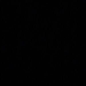 Meet your Posher, Shiaron